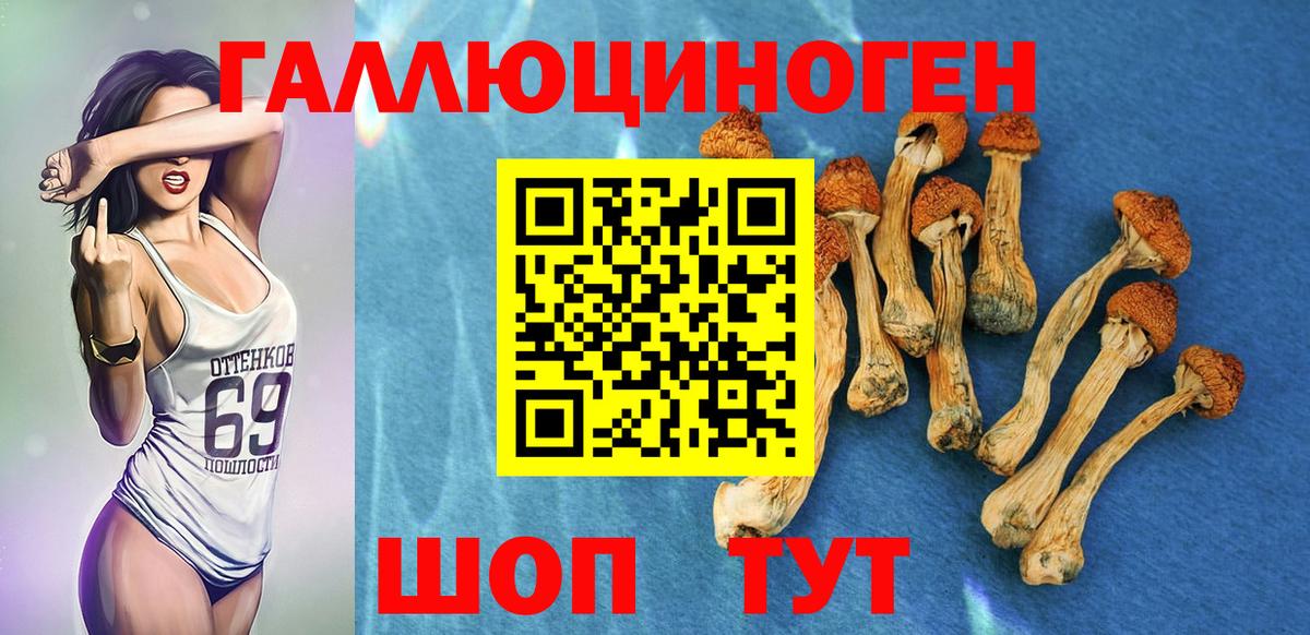 Галлюциногенные грибы мухоморы  Вход с VPN  Галлюциногенные грибы ЛСД  Зеленогорск 