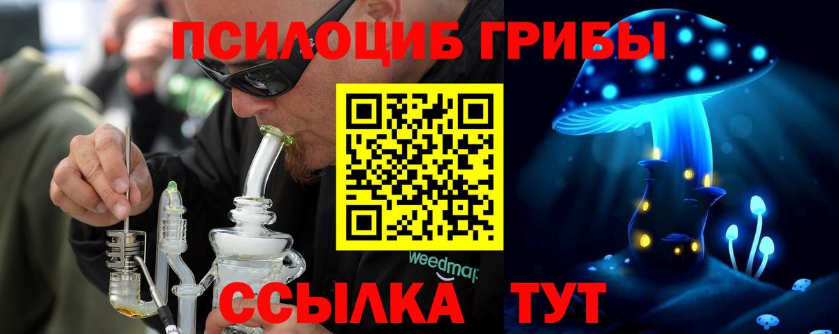 Псилоцибиновые грибы прущие грибы Зеленогорск
